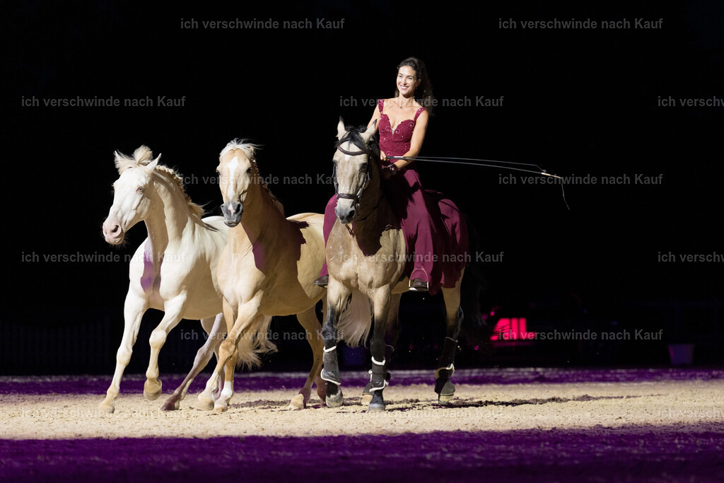 Gala-120 | working equitationturnier fotograf videograf stoibphotography marixx film working equitation deutschland reitsport turnierfotografie eventfotografie equestrian events