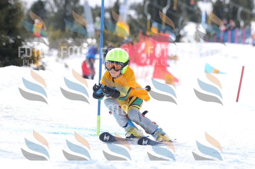 C7678 | holidayphoto