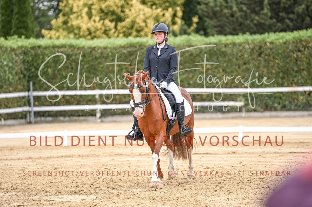 Schugtsche-Aluta25-42.EDressur -231 | Schugtsche Fotografie - Realizzato con Pictrs.com