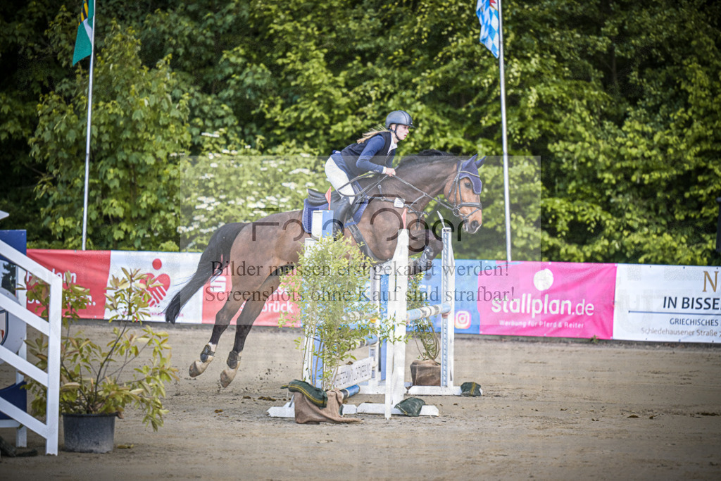 DOS_0565 | Entdecke hochwertige Reitturnierfotos von Foto Oger. Professionell, emotional und authentisch – jetzt Lieblingsmomente im Shop bestellen.Deutschlandweite Turnierfotografie. - Realisiert mit Pictrs.com