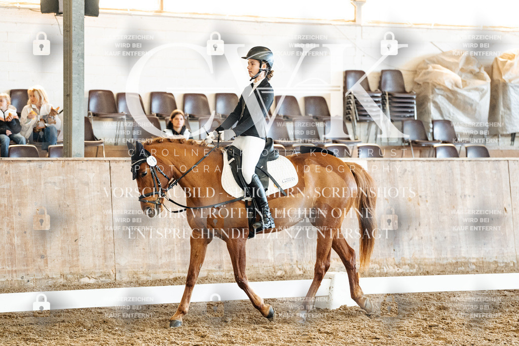 CK900583 | Turnierfotografie Pferdefotografie Trier Rheinland-Pfalz Pferdesport Reitsport Tierfotografie Sportfotografie Pferdevideo Pferdevideografie Equestrianvideography equestrianphotography  - Realized with Pictrs.com