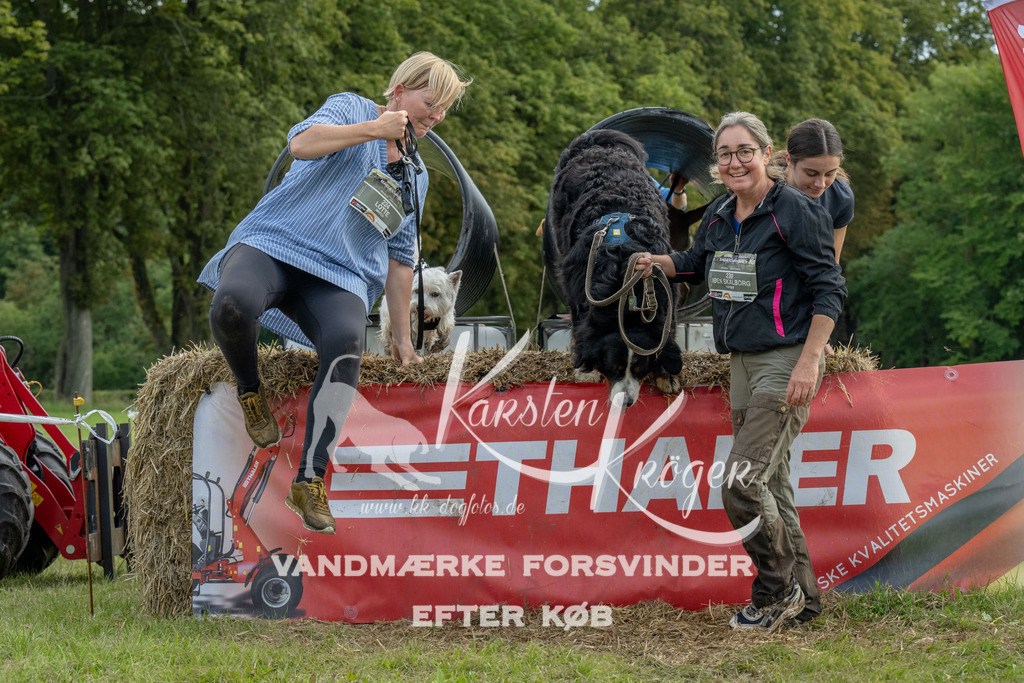 1042_ZZ92961 | kk-dogfotos