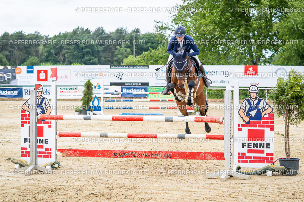 DSC05344 | Pferdegrafie