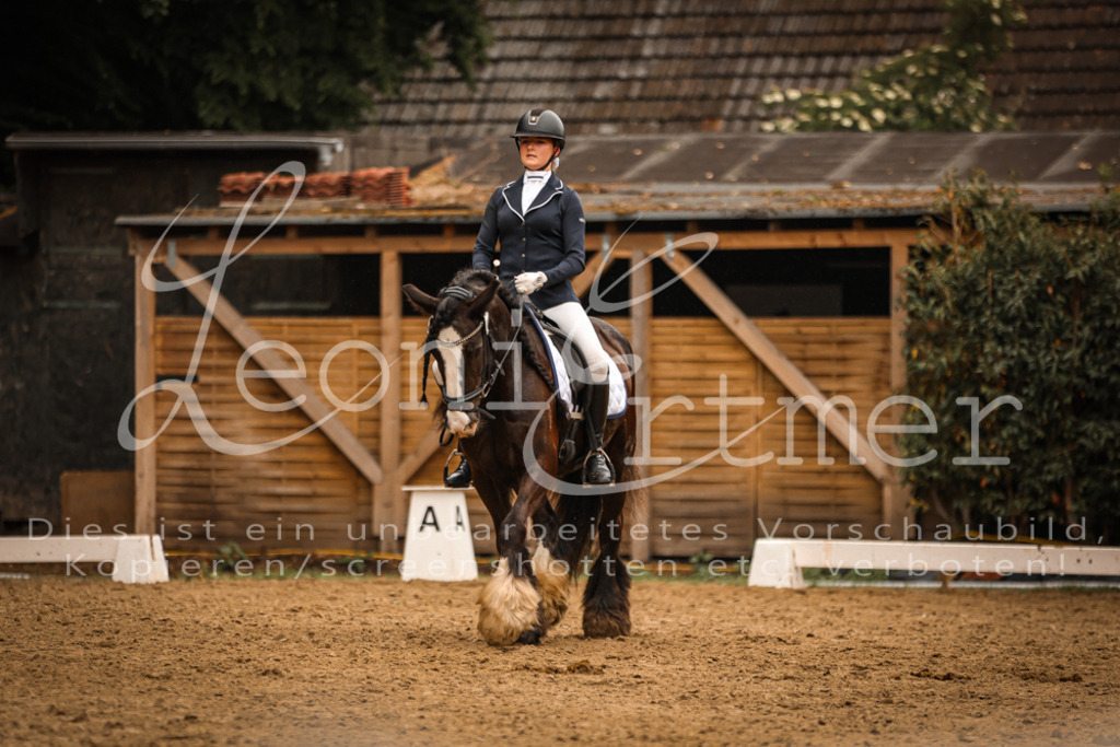 DoDrA00515 | Leoni Ertmer Photography - Realisiert mit Pictrs.com