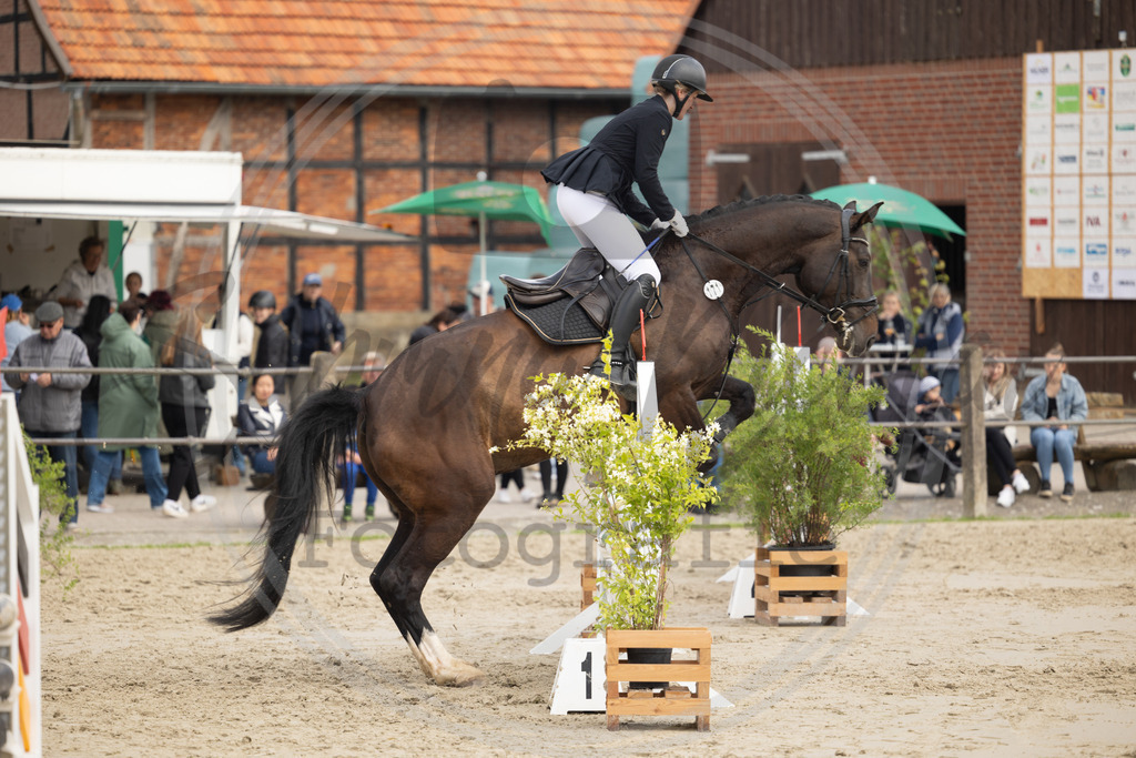 994A9571 | sabrinanicolaifotografie - Realisiert mit Pictrs.com