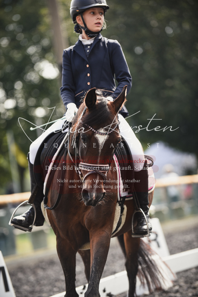DSC_3703 | Pferde- und Turnierfotografie in Westsachsen. Pferdeportraits, Auftragszeichnungen und intuitive Kunst.