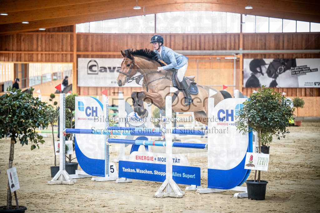 DOS_0688 | Entdecke hochwertige Reitturnierfotos von Foto Oger. Professionell, emotional und authentisch – jetzt Lieblingsmomente im Shop bestellen.Deutschlandweite Turnierfotografie. - Realisiert mit Pictrs.com