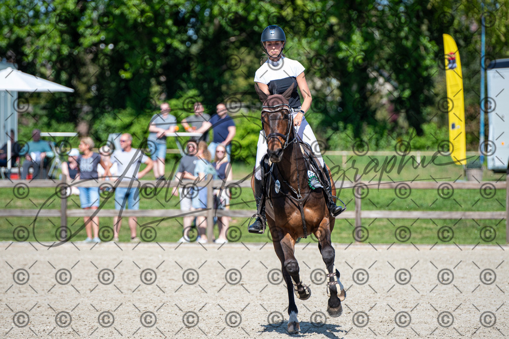 KPT_1473 | andre_photographic