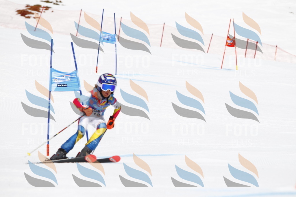 _U3G6650 | holidayphoto