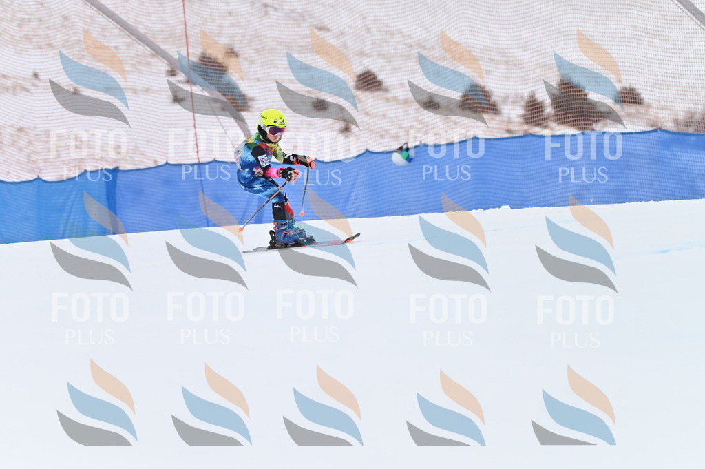 BGV_2656 | holidayphoto