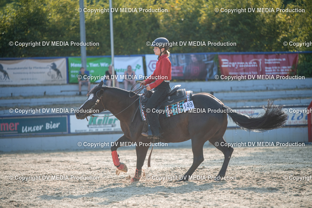 EWP_7138 | dv-media-shop - Realisiert mit Pictrs.com