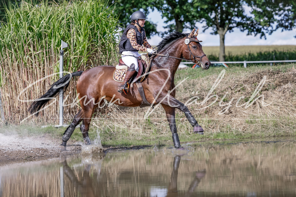 20250906-_3LI6856 | Tierfotografie Pferde, Hunde, Katzen, Haustiere.
Turnierfotografie Reitturniere, Reiten, Springreiten, Dressur in Hanau, dem Main-Kinzig-Kreis und dem Rhein-Main- Gebiet um Frankfurt