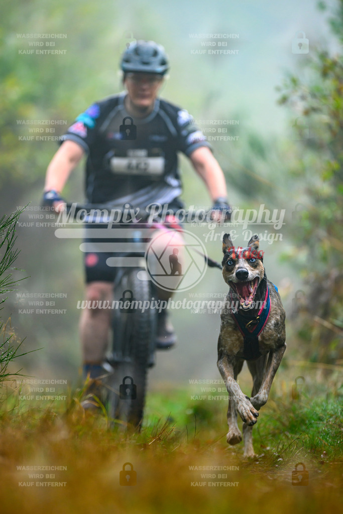MompixPhotography_20TSB_E4_Bike-145 | PayLife