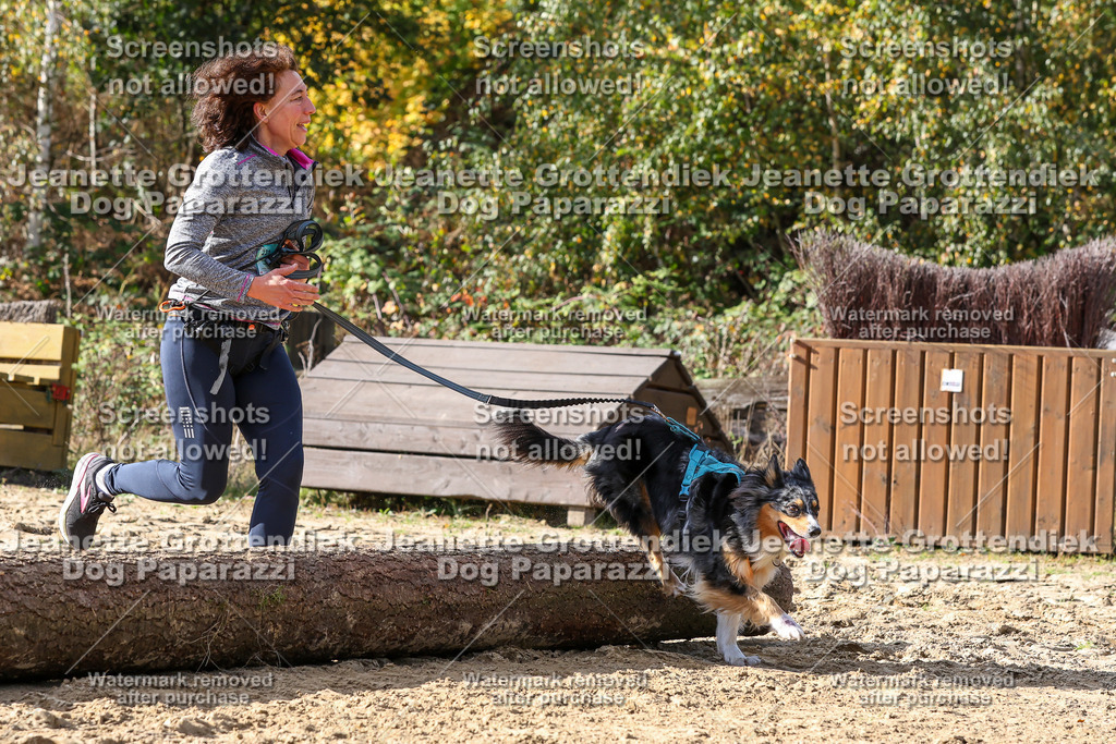 Dog Paparazzi - Strongdog 10-25-5723 | Dog Paparazzi Jeanette Grottendiek Fotografie & Videografie - Realisiert mit Pictrs.com