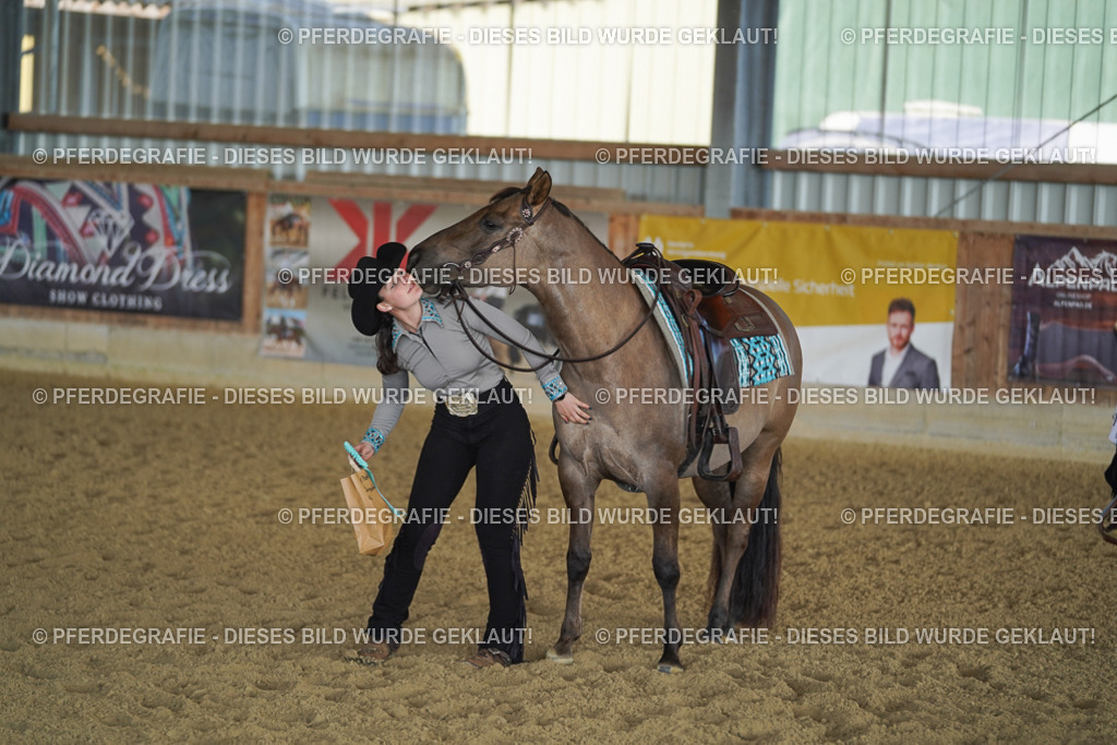 DSC08946 | Pferdegrafie