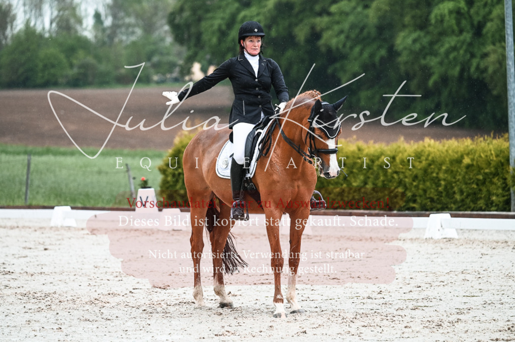 DSC_4484 | Pferde- und Turnierfotografie in Westsachsen. Pferdeportraits, Auftragszeichnungen und intuitive Kunst.