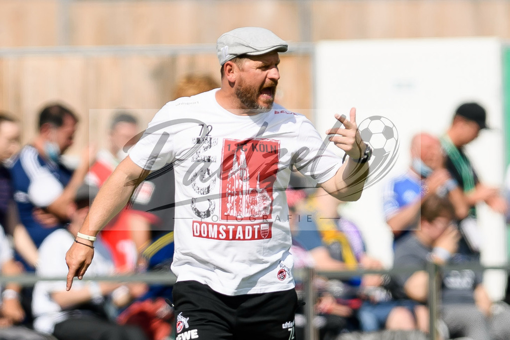 JENKOE20210808_025 | Fussball, Herren: Trainer Steffen Baumgart (1. FC Koeln) gestikuliert beim Spiel der 1. Runde im DFB-Pokal zwischen FC Carl Zeiss Jena und 1. FC Koeln im Ernst-Abbe-Sportfeld am 08.08.2021 in Jena, Deutschland.DFB / DFL REGULATIONS PROHIBIT ANY USE OF PHOTOGRAPHS AS IMAGE SEQUENCES AND/OR QUASI-VIDEO. - Realisiert mit Pictrs.com