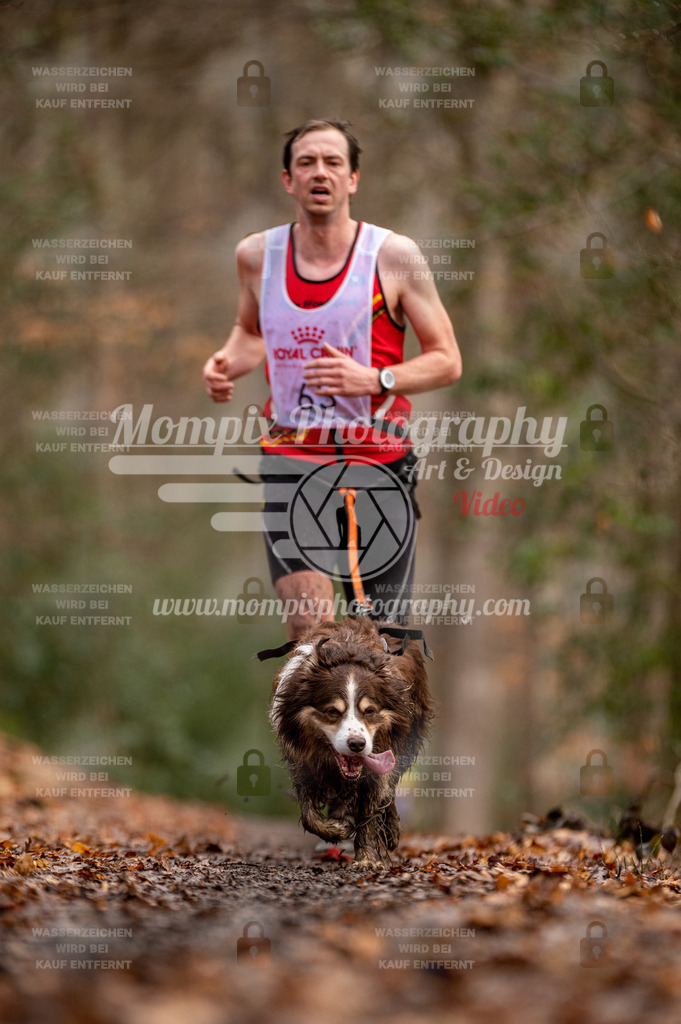 SPA_2023_DIM_CCL-116 | PayLife