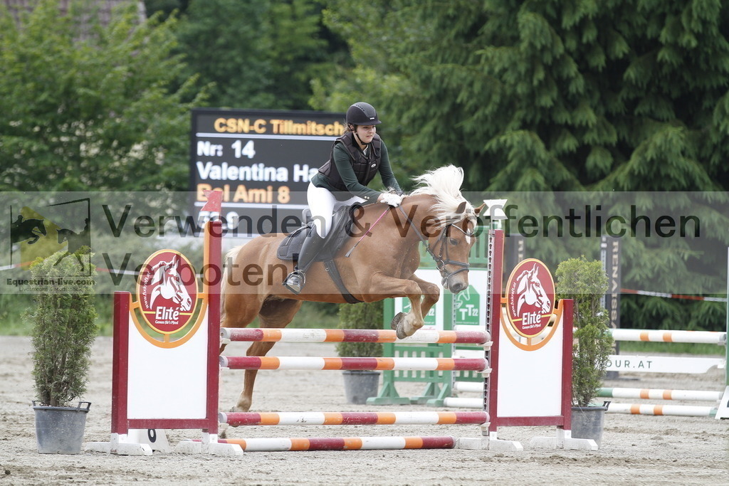 _MG_6466 | equestrian-live-com