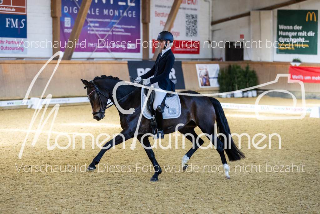 Sth-LPO25-DrR-L-280 | MomenTaufnahmen Pferdesportfotos