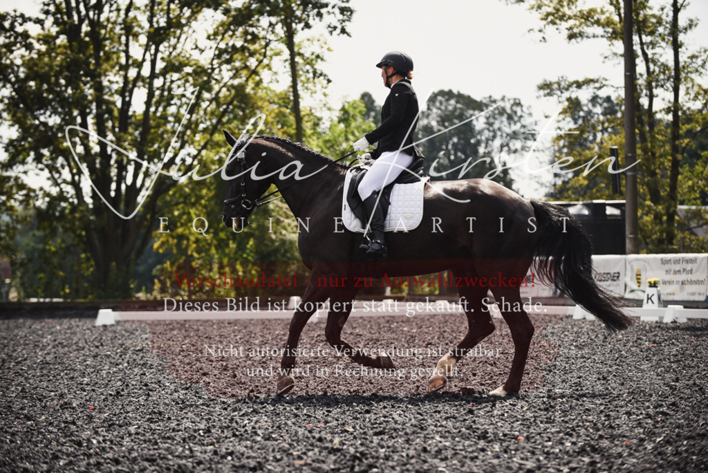 DSC_4264 | Pferde- und Turnierfotografie in Westsachsen. Pferdeportraits, Auftragszeichnungen und intuitive Kunst.