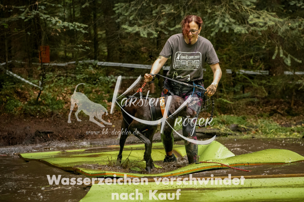 1211_ZZ93027-Bearbeitet | kk-dogfotos