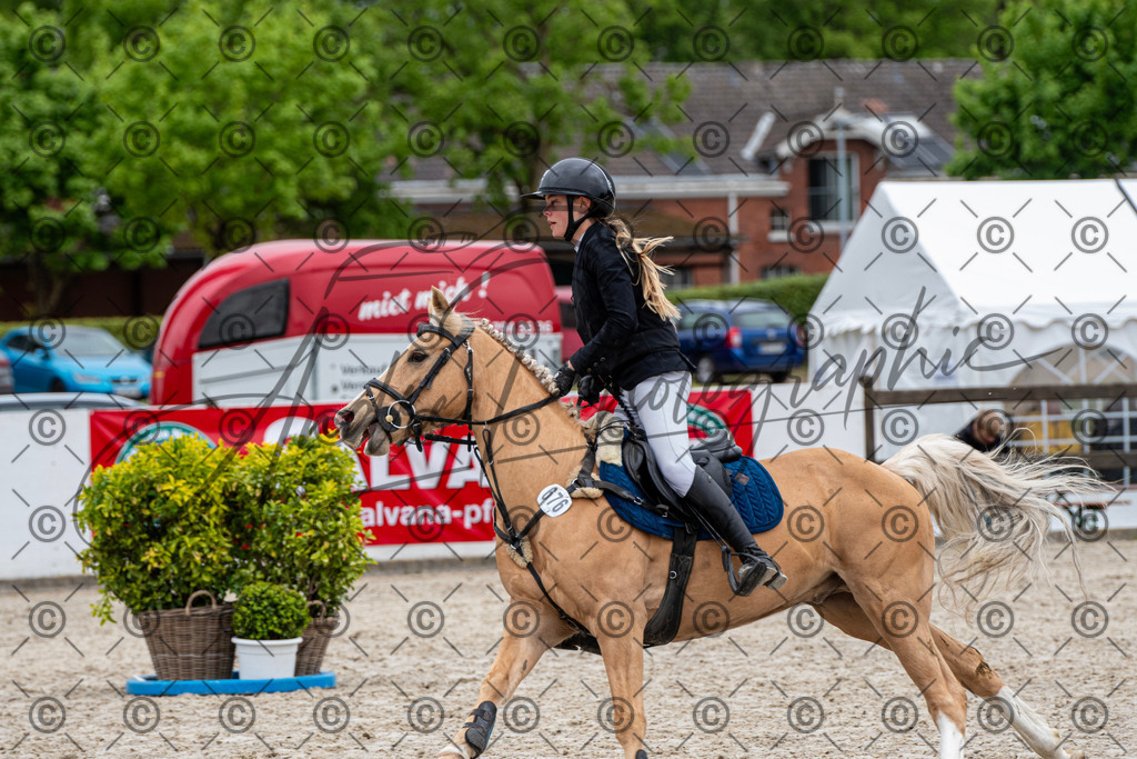 KPT_8360 | andre_photographic