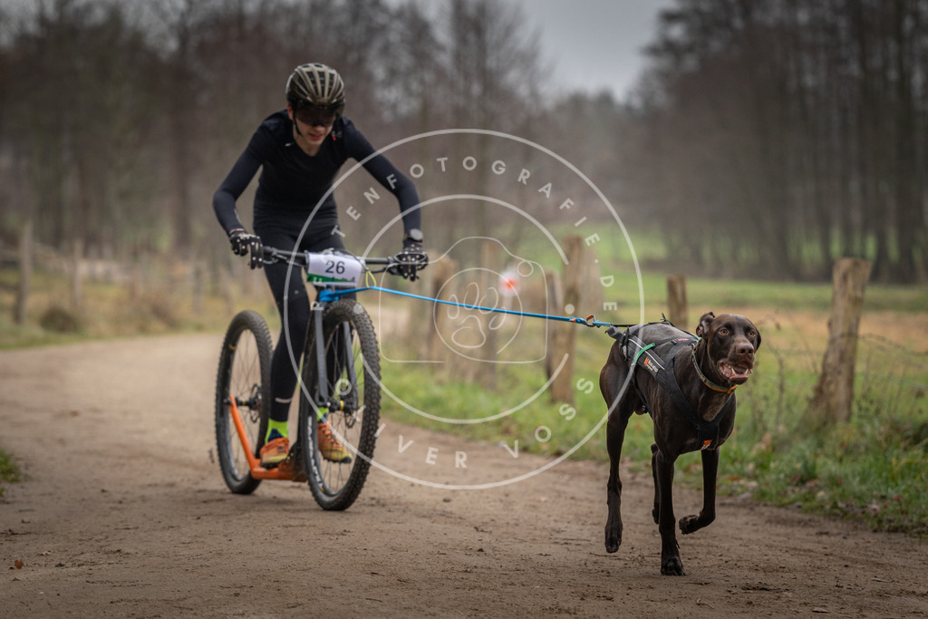 Pfotenfotografie_DV3A2138 | Hundefotografie, Tierfotograf, Pfotenfotografie, Fotoshooting Hund, Hunde Portrait, Hundesport, Hundeportraits, Heideshooting, Hunde, Sportfotograf, Hundefotograf, Turnierhundsport, THS,  - Realisiert mit Pictrs.com