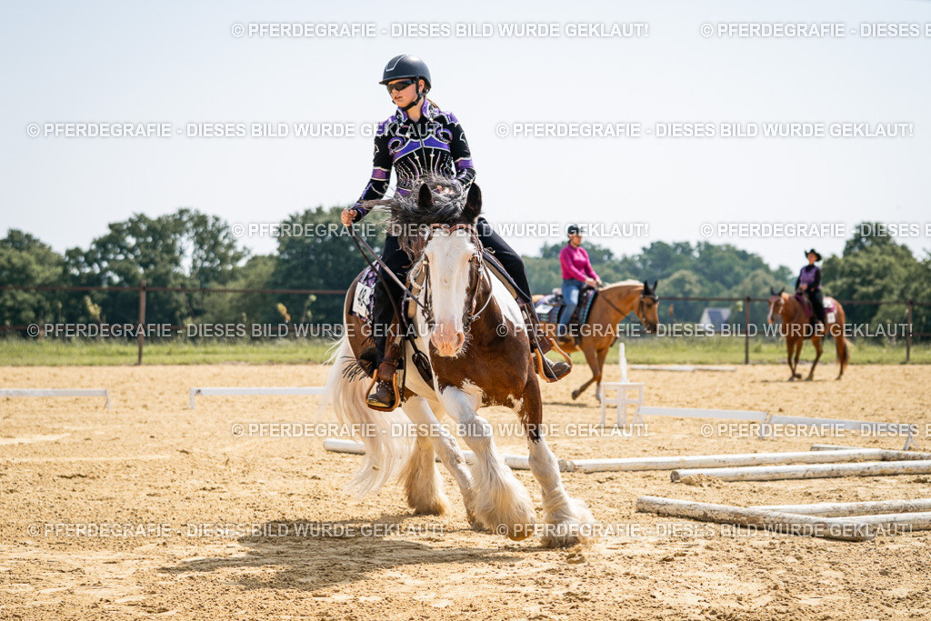 DSC00061 | Pferdegrafie