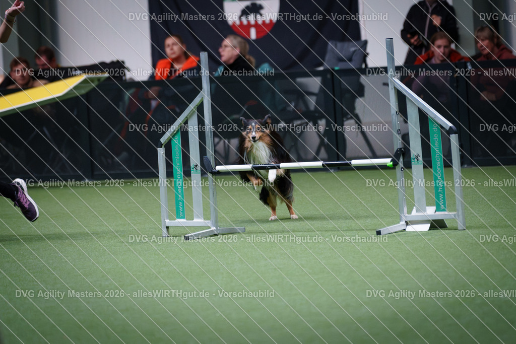 allesWIRTHgut_Tierfotografie-DVG_Agility_Masters_2026-14_57-7R505787 | Professionelle Tierfotografie in Mönchengladbach von Daniel Wirth (allesWIRTHgut). Liebevolle & natürliche Bilder von Hunden & Katzen für unvergessliche Erinnerungen.