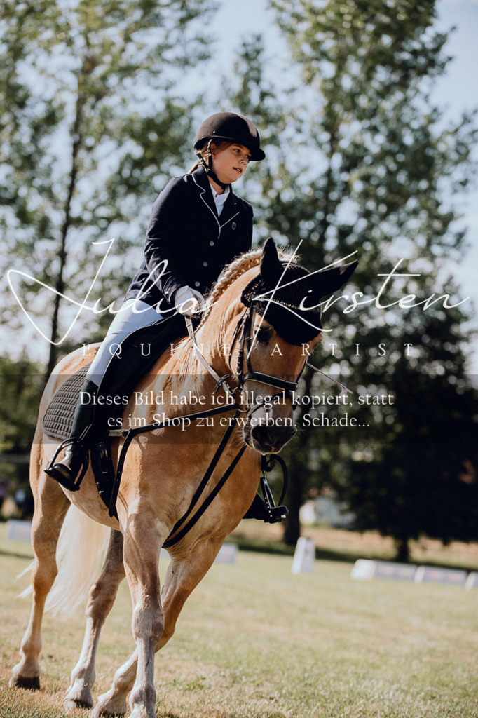DSC_6922 | Pferde- und Turnierfotografie in Westsachsen. Pferdeportraits, Auftragszeichnungen und intuitive Kunst.