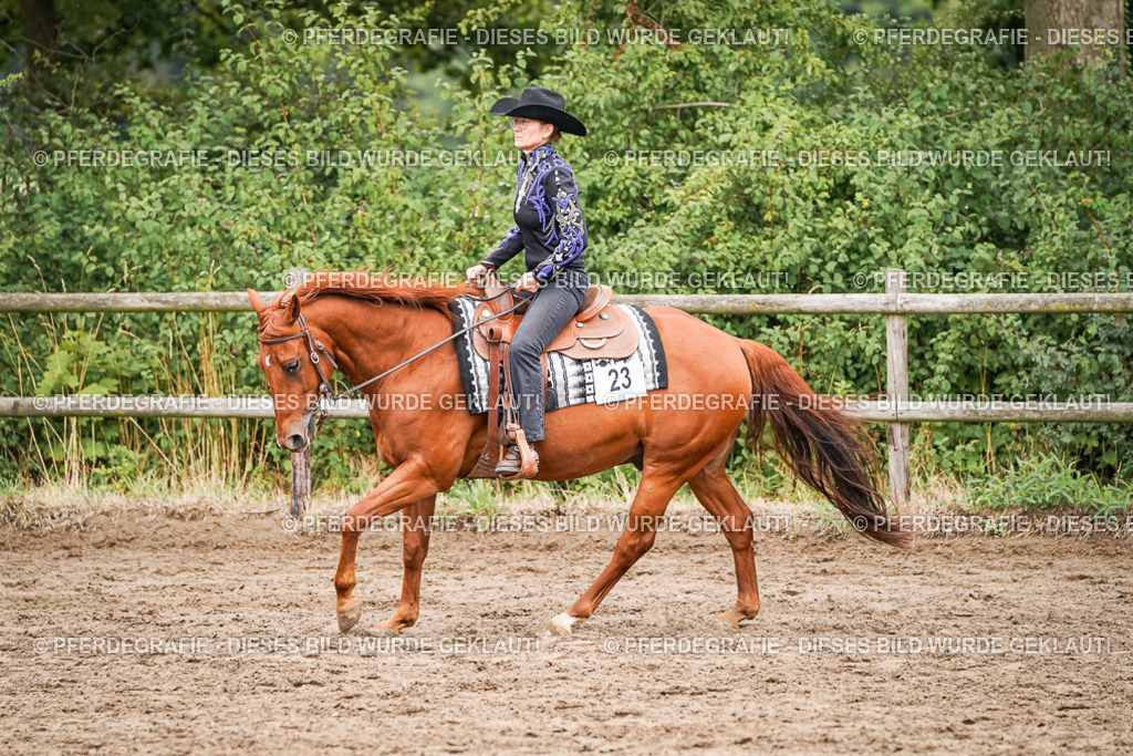 DSC05032 | Pferdegrafie