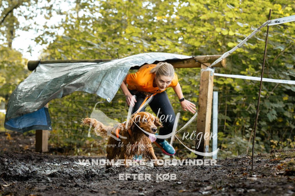 1415DZ6_1290Z6 | kk-dogfotos