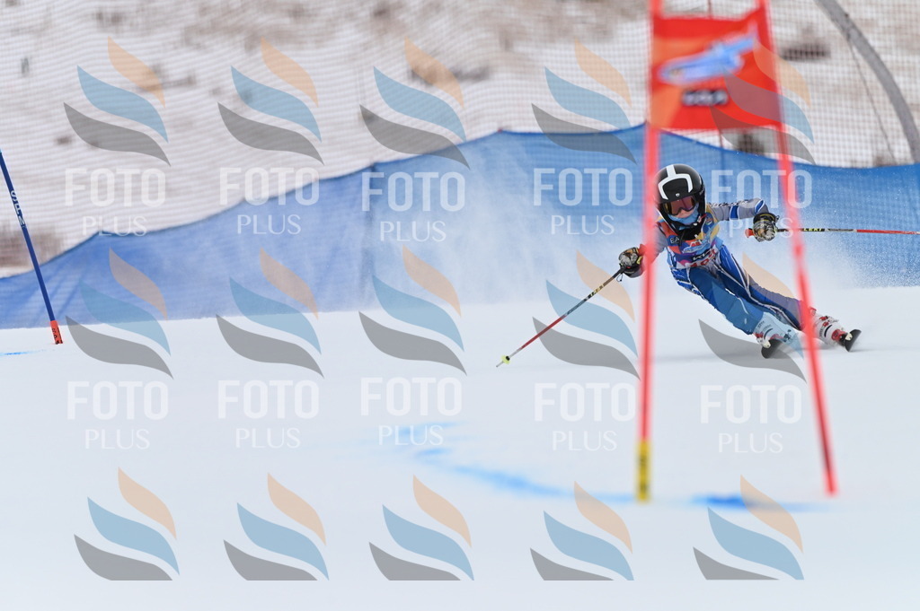 BGV_1838 | holidayphoto