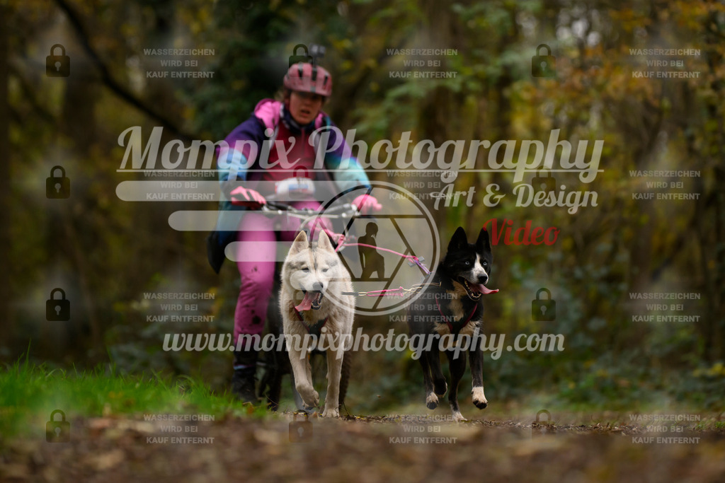 MompixPhotography_Bischwiller24_SA_VTT2-20 | PayLife