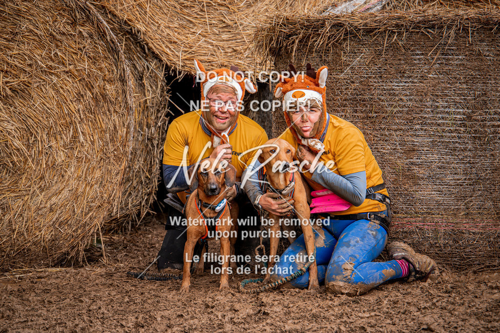 nelerasche_Hunsrück_So09-11_404 | nelerasche