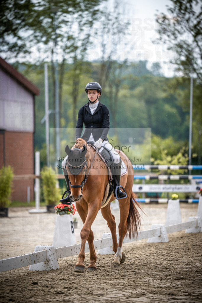 DOS_2250 | Reitturnier Venne - Realisiert mit Pictrs.com