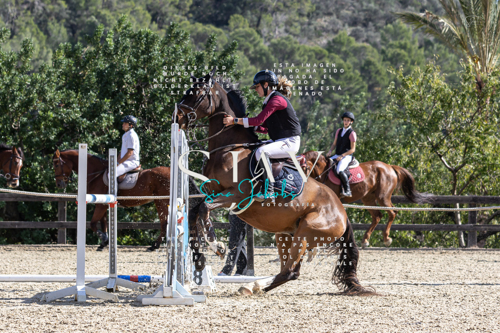 IMG_0352 | s-jay-photography - Realisiert mit Pictrs.com