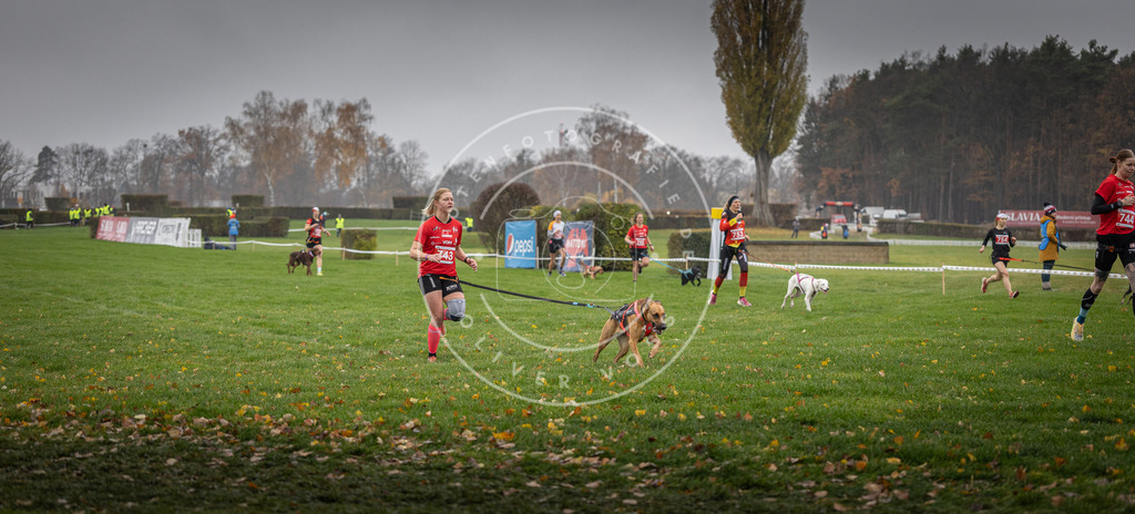 CaniXpix_DV3A8869 | Hundefotografie, Tierfotograf, Pfotenfotografie, Fotoshooting Hund, Hunde Portrait, Hundesport, Hundeportraits, Heideshooting, Hunde, Sportfotograf, Hundefotograf, Turnierhundsport, THS,  - Realisiert mit Pictrs.com