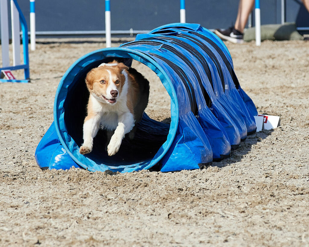 580A0083 | Peter Fridle Fotografie - Realisiert mit Pictrs.com