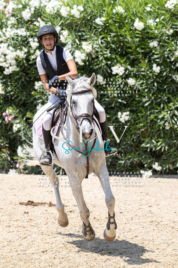 IMG_1066 | s-jay-photography - Realisiert mit Pictrs.com