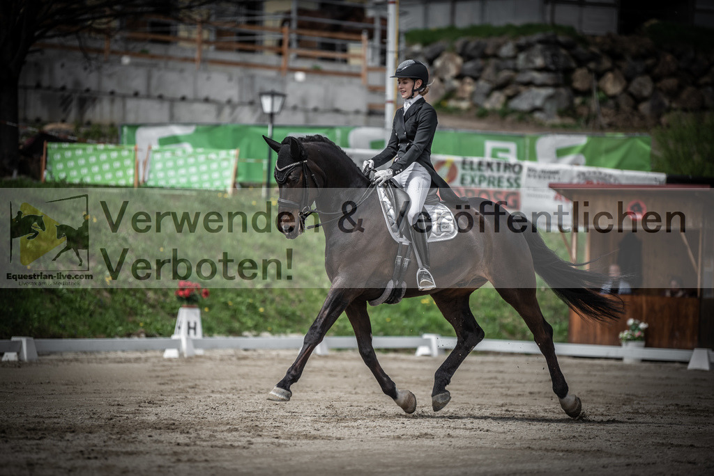 DSC_2261 | equestrian-live-com