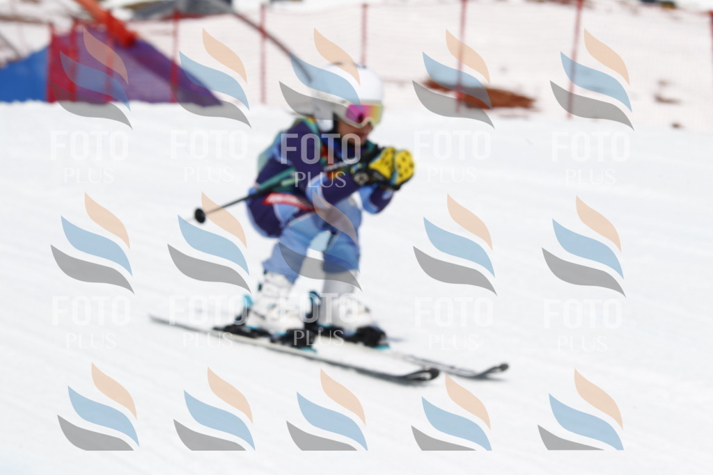 _U3G7815 | holidayphoto