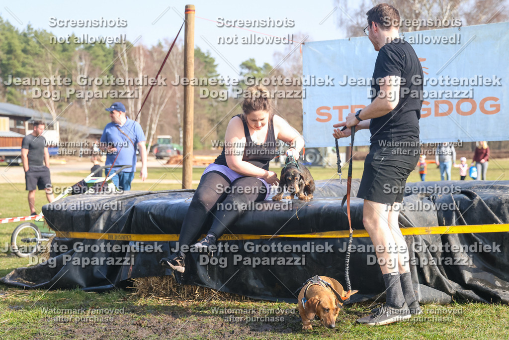 Dog Paparazzi - Strongdog North Mrz26-2084 | Dog Paparazzi Jeanette Grottendiek Fotografie & Videografie - Realisiert mit Pictrs.com