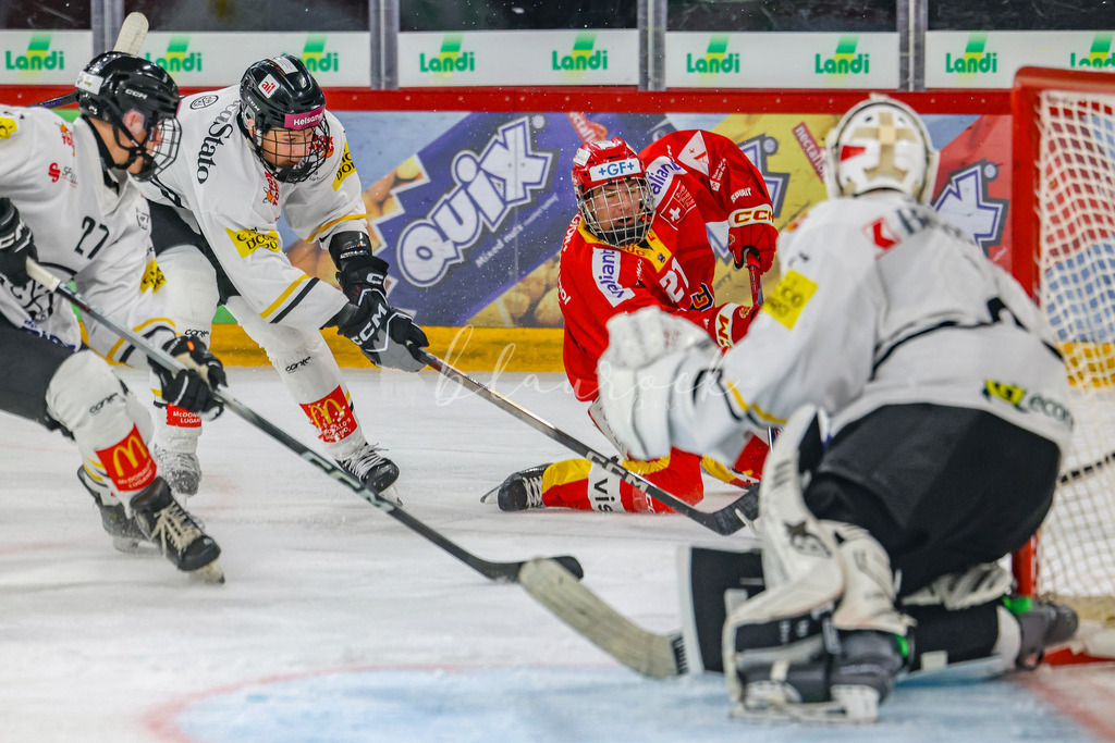 701A2979 | Sportbilder, Sportfotograf, Hochzeits- und Eventfotografin, Flugshows, Portraits und Tiershooting, Aviation, Downhill, Nationalleague, Swissleague, International