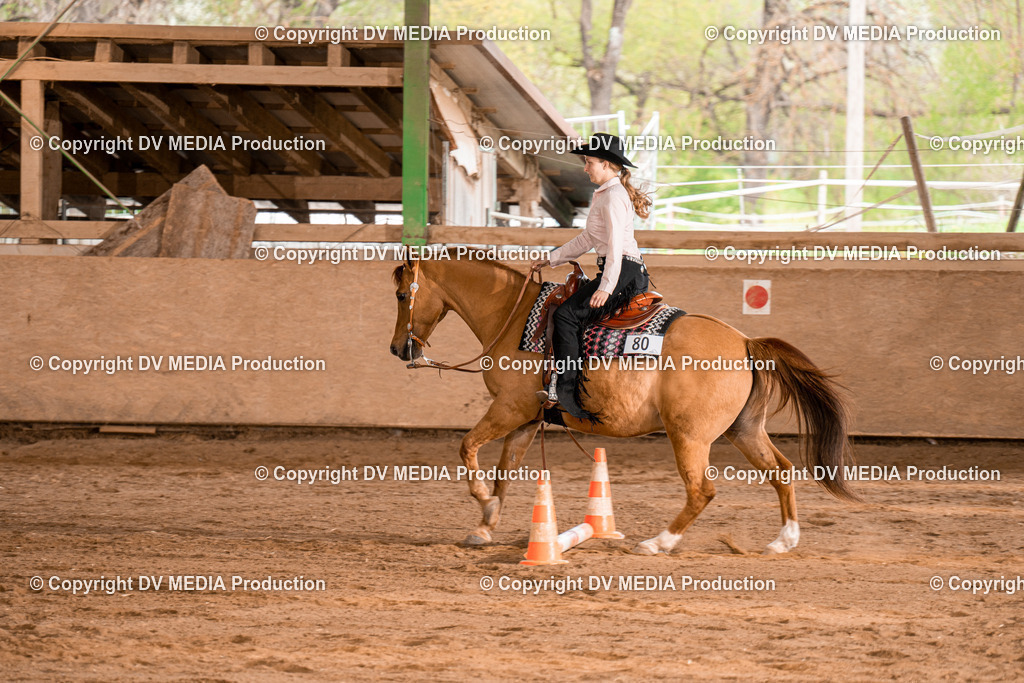 BA300912 | dv-media-shop - Realisiert mit Pictrs.com