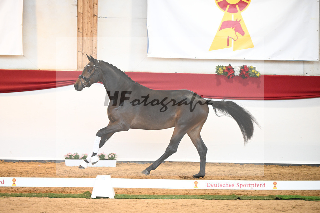 Kat-Nr. 30 For Dance x Florestan I_Fischer_43230599 | hf-fotografie - Realisiert mit Pictrs.com