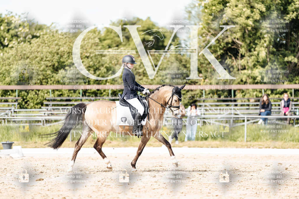 CK900390 | Turnierfotografie Pferdefotografie Trier Rheinland-Pfalz Pferdesport Reitsport Tierfotografie Sportfotografie Pferdevideo Pferdevideografie Equestrianvideography equestrianphotography  - Realisiert mit Pictrs.com