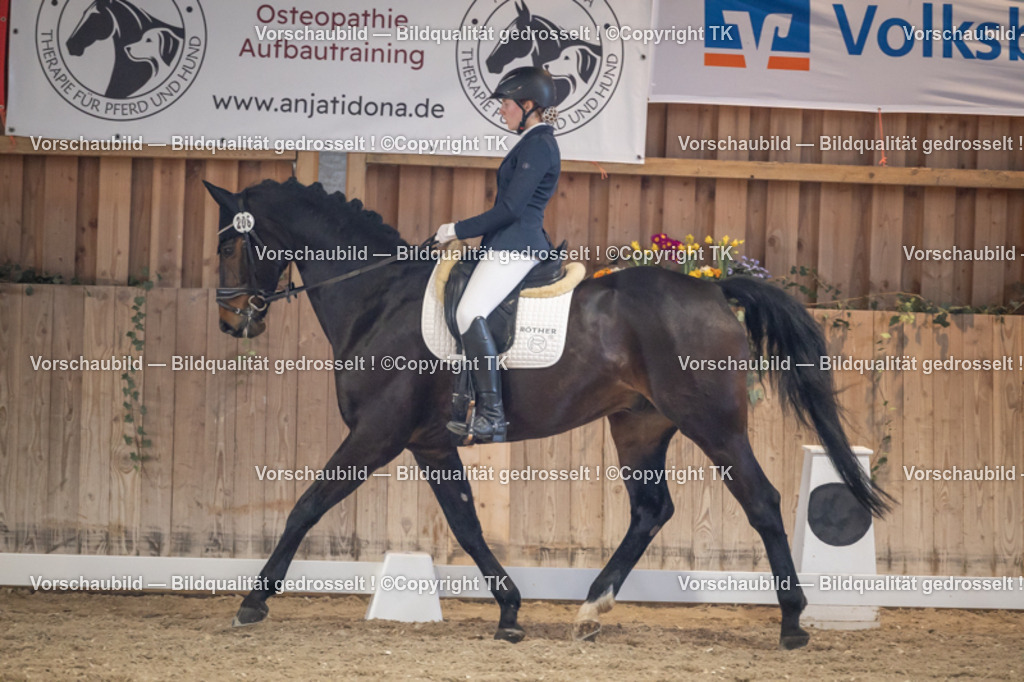 _D5A2381 | Emotionale Pferde- & People-Fotografie rund um Heidelberg, Leimen & Umgebung. Natürliche Fotos von Pferd, Mensch & Familie. Jetzt Termin sichern!