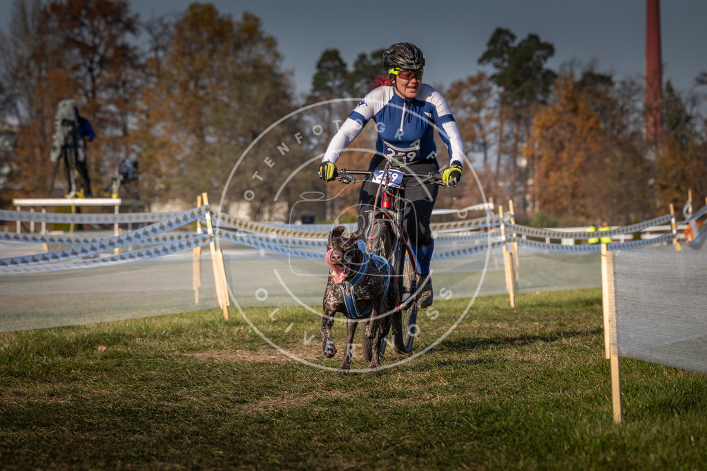 CaniXpix_0L8A7854 | Hundefotografie, Tierfotograf, Pfotenfotografie, Fotoshooting Hund, Hunde Portrait, Hundesport, Hundeportraits, Heideshooting, Hunde, Sportfotograf, Hundefotograf, Turnierhundsport, THS,  - Realisiert mit Pictrs.com